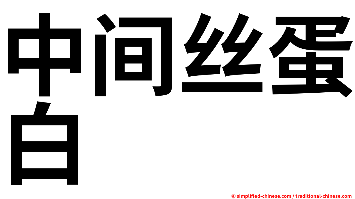 中间丝蛋白
