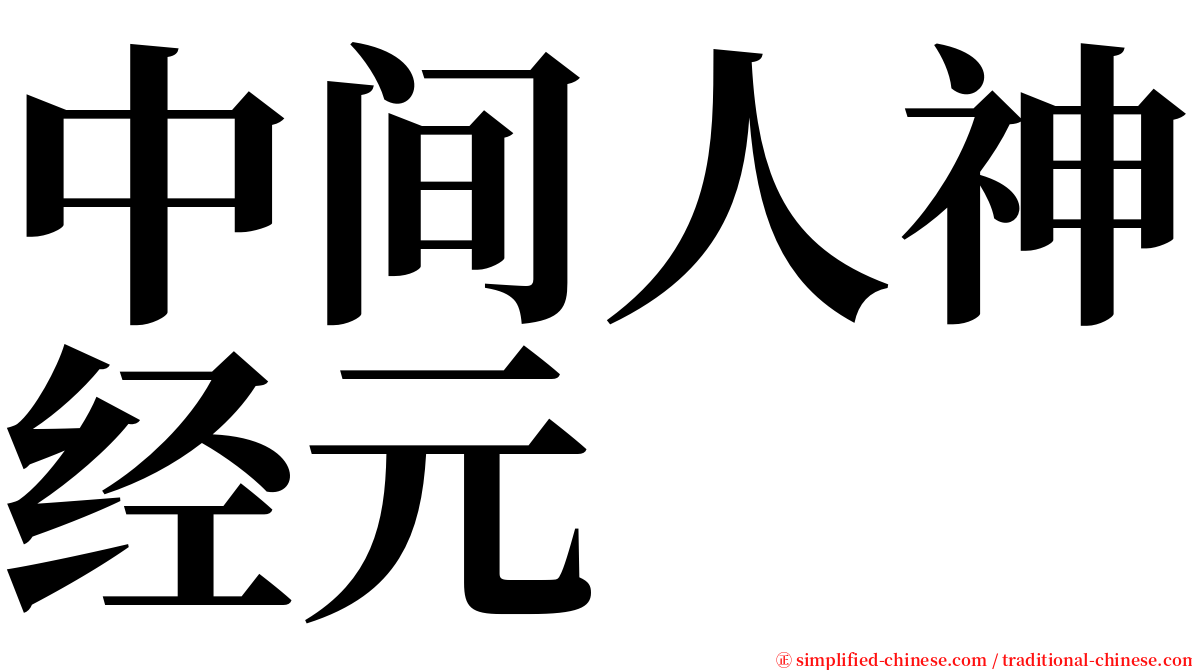 中间人神经元 serif font