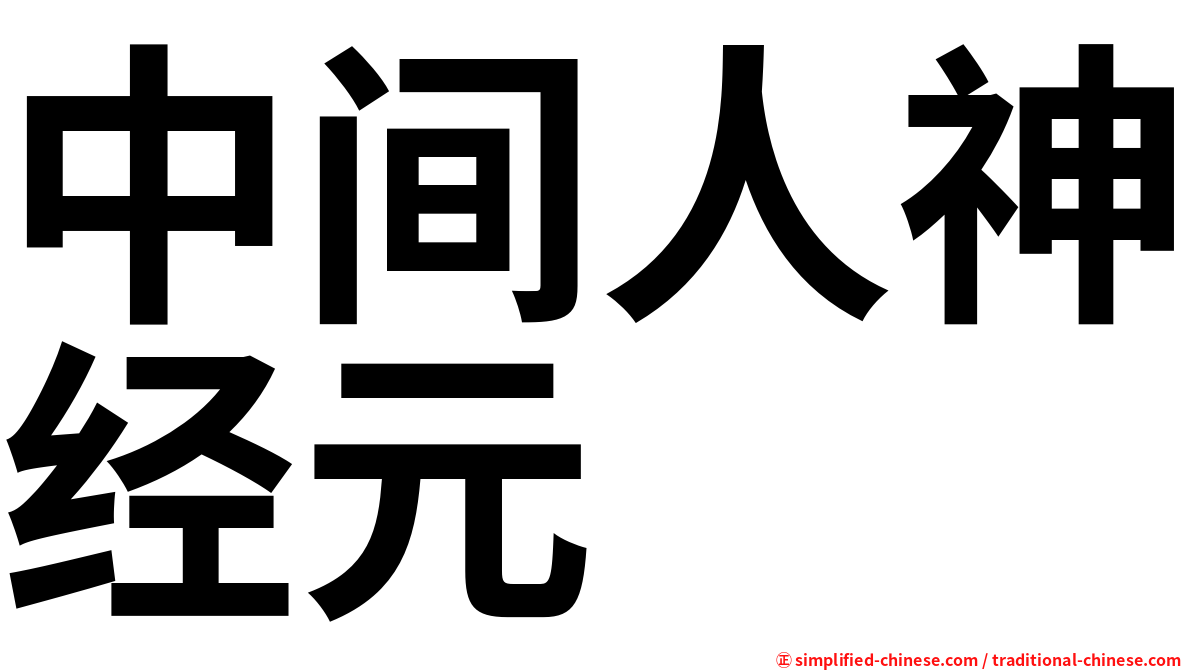 中间人神经元
