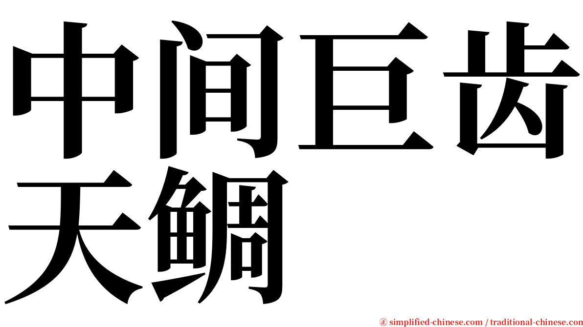 中间巨齿天鲷 serif font