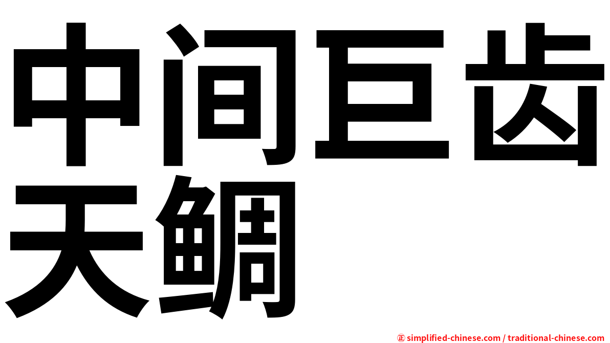 中间巨齿天鲷