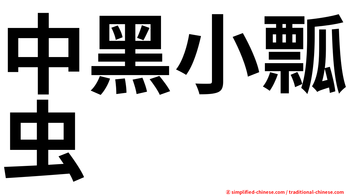 中黑小瓢虫