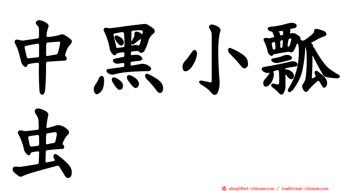 中黑小瓢虫