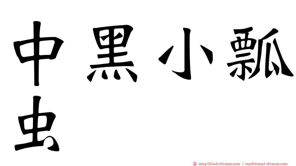 中黑小瓢虫