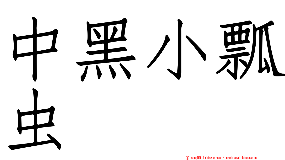 中黑小瓢虫