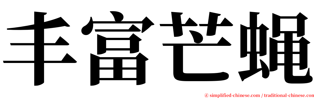 丰富芒蝇 serif font