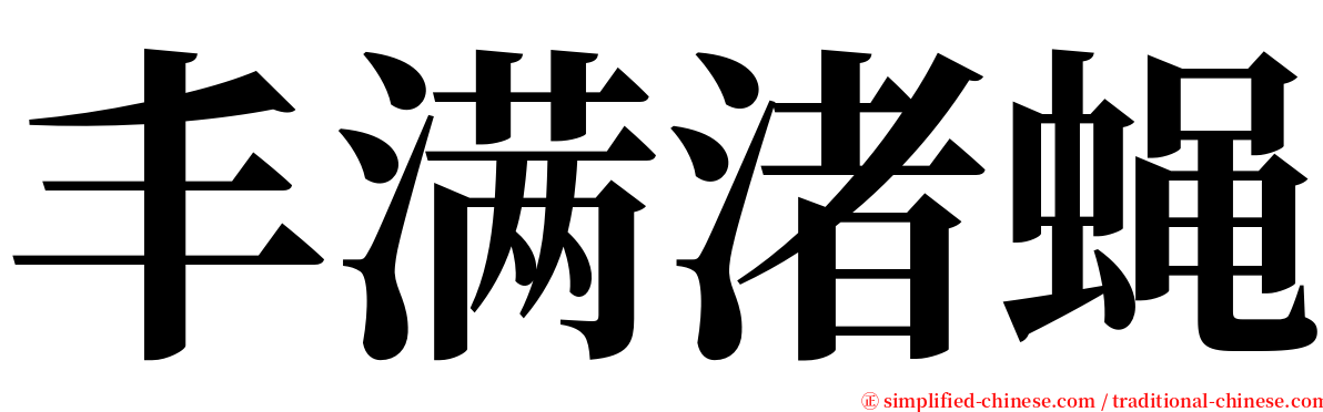 丰满渚蝇 serif font