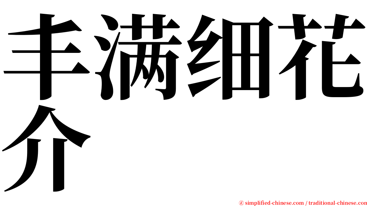 丰满细花介 serif font