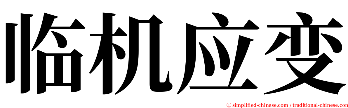 临机应变 serif font