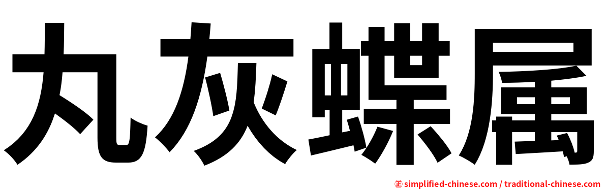 丸灰蝶属