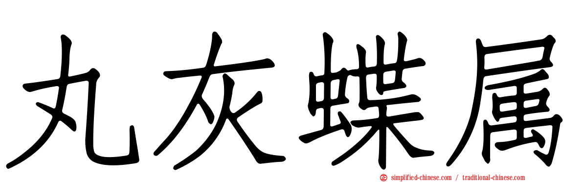 丸灰蝶属