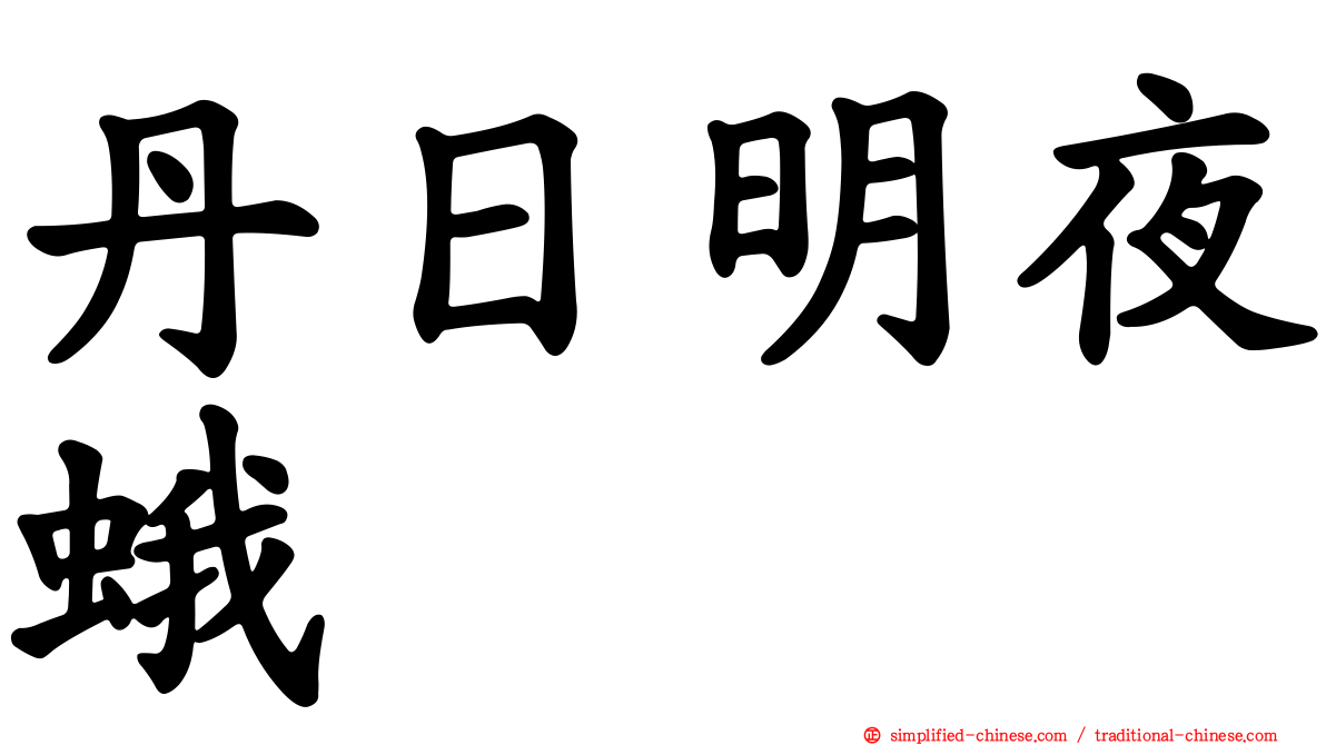 丹日明夜蛾