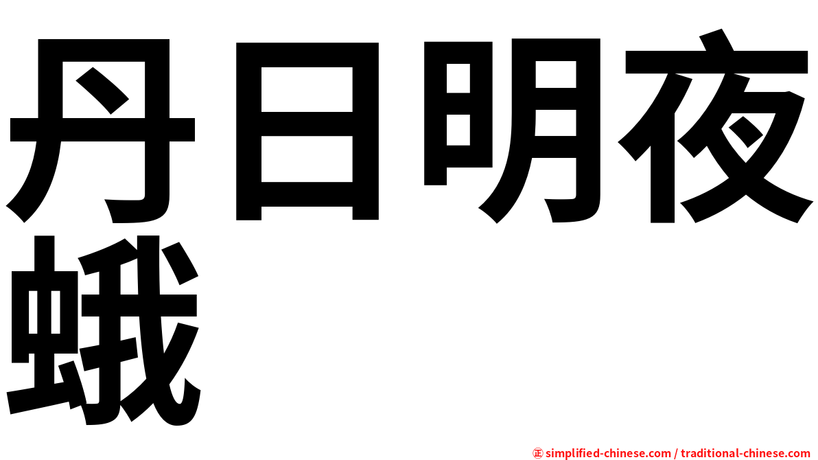 丹日明夜蛾