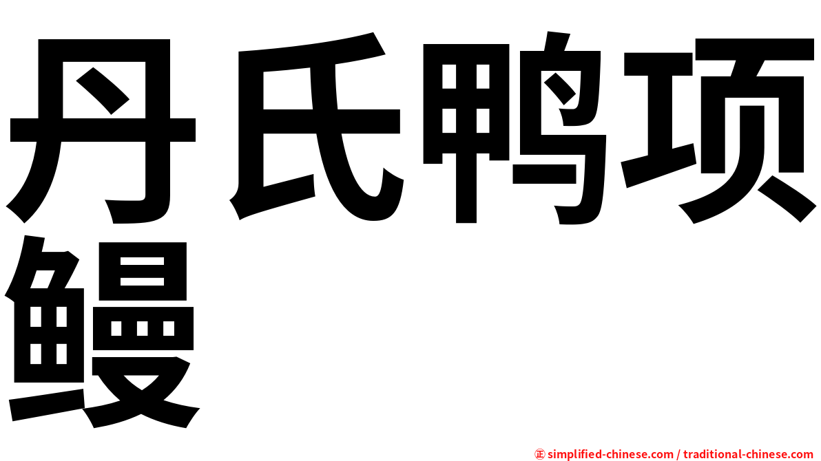 丹氏鸭项鳗