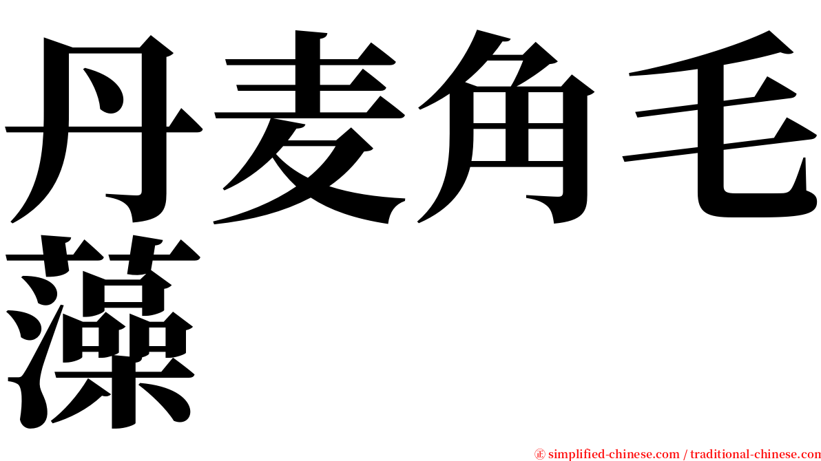 丹麦角毛藻 serif font