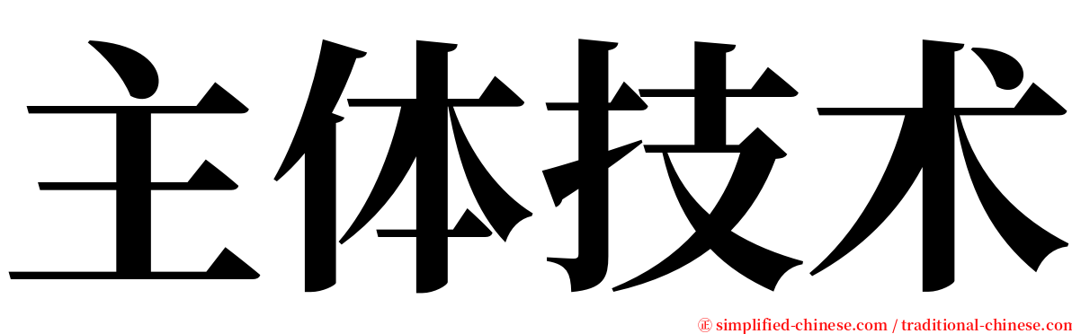 主体技术 serif font