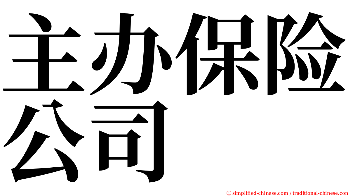 主办保险公司 serif font