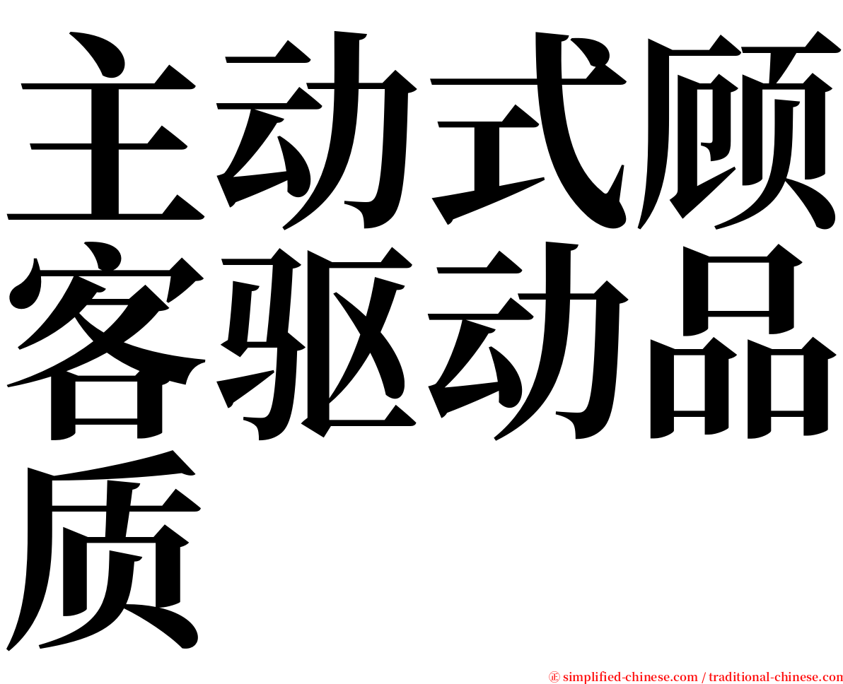 主动式顾客驱动品质 serif font