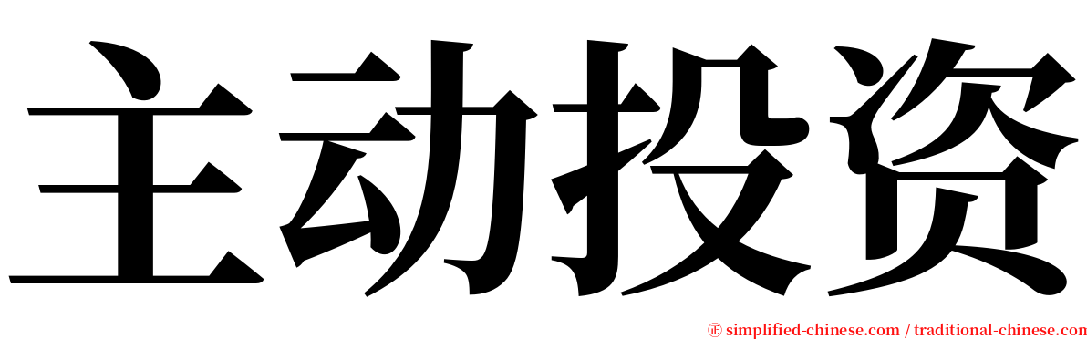 主动投资 serif font