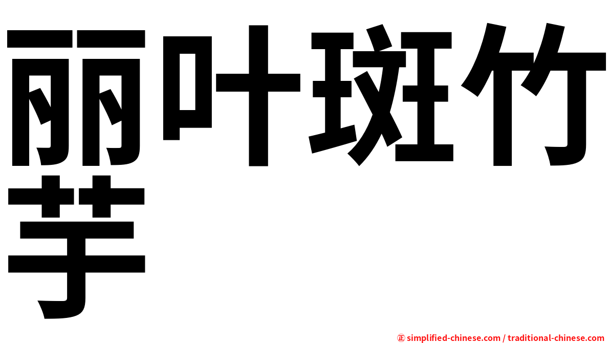 丽叶斑竹芋
