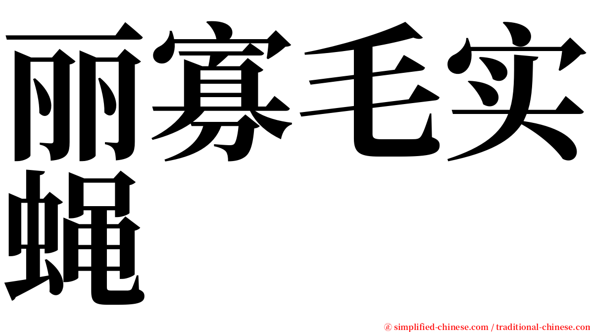 丽寡毛实蝇 serif font