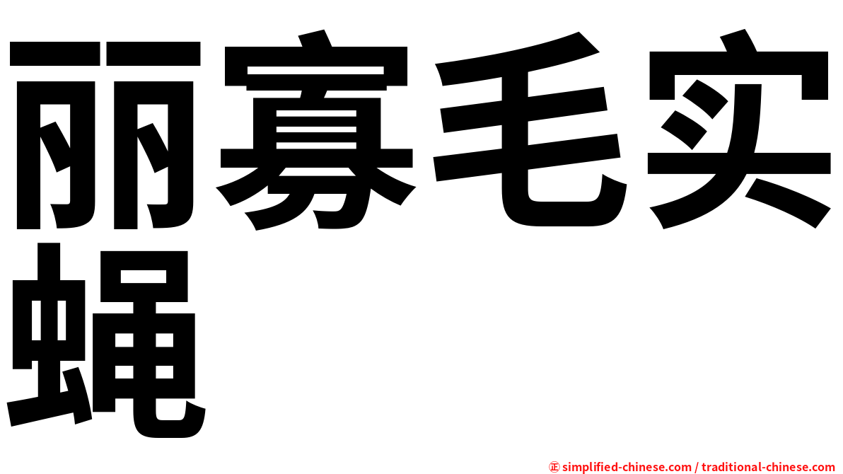 丽寡毛实蝇