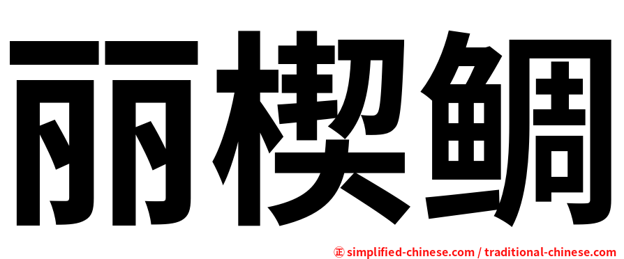 丽楔鲷