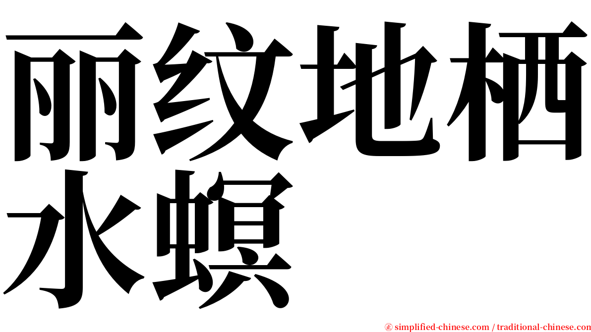 丽纹地栖水螟 serif font