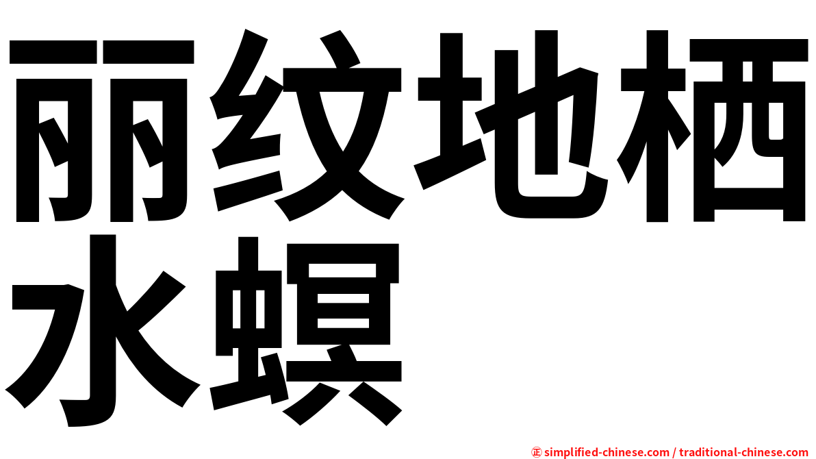 丽纹地栖水螟