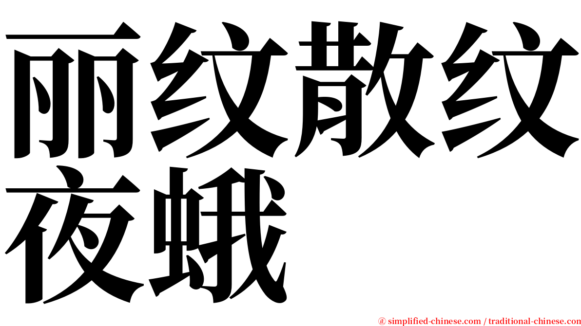 丽纹散纹夜蛾 serif font