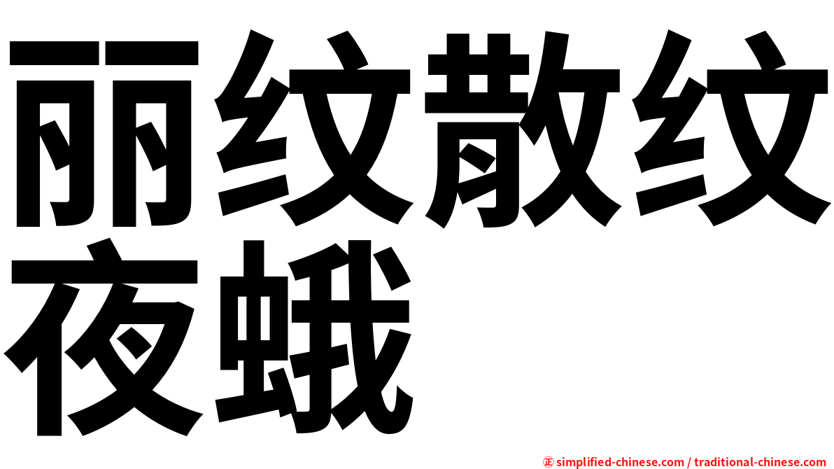 丽纹散纹夜蛾