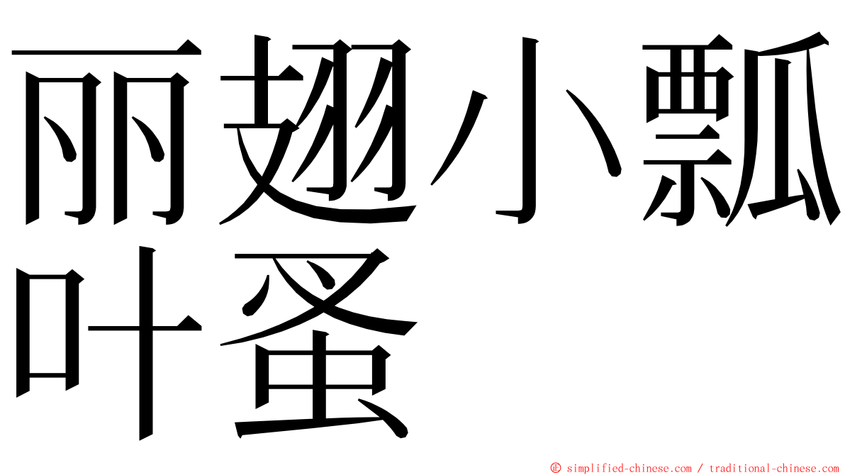 丽翅小瓢叶蚤 ming font