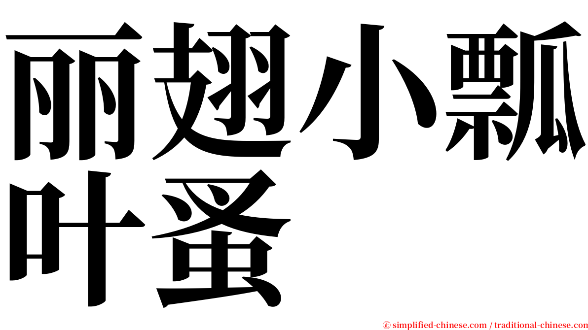 丽翅小瓢叶蚤 serif font