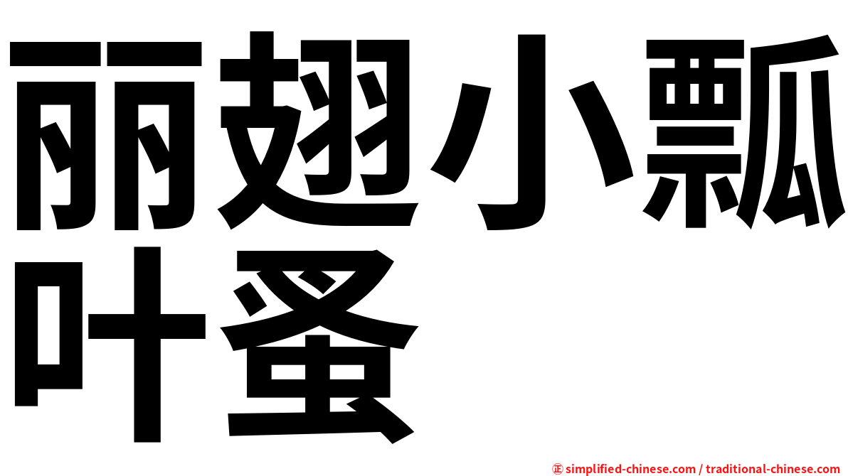 丽翅小瓢叶蚤