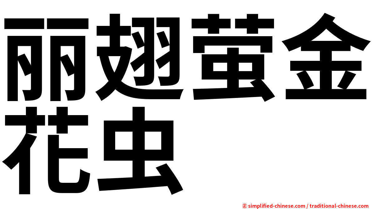 丽翅萤金花虫