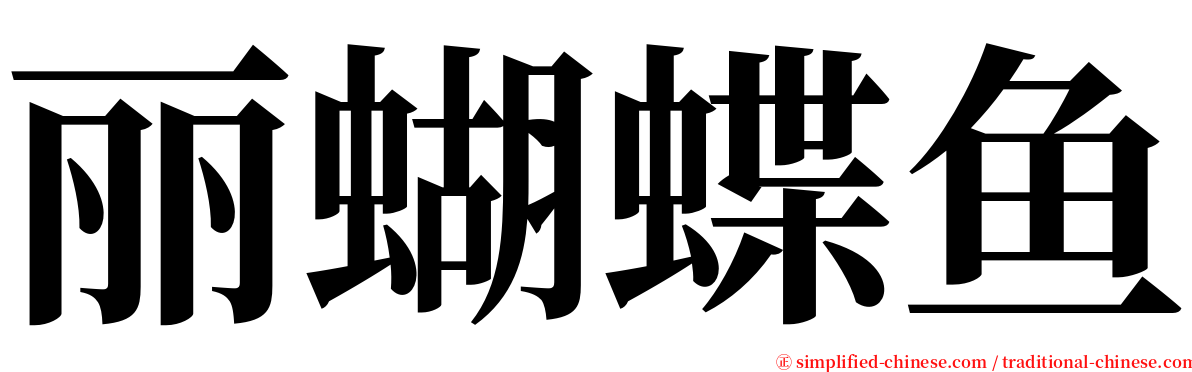 丽蝴蝶鱼 serif font