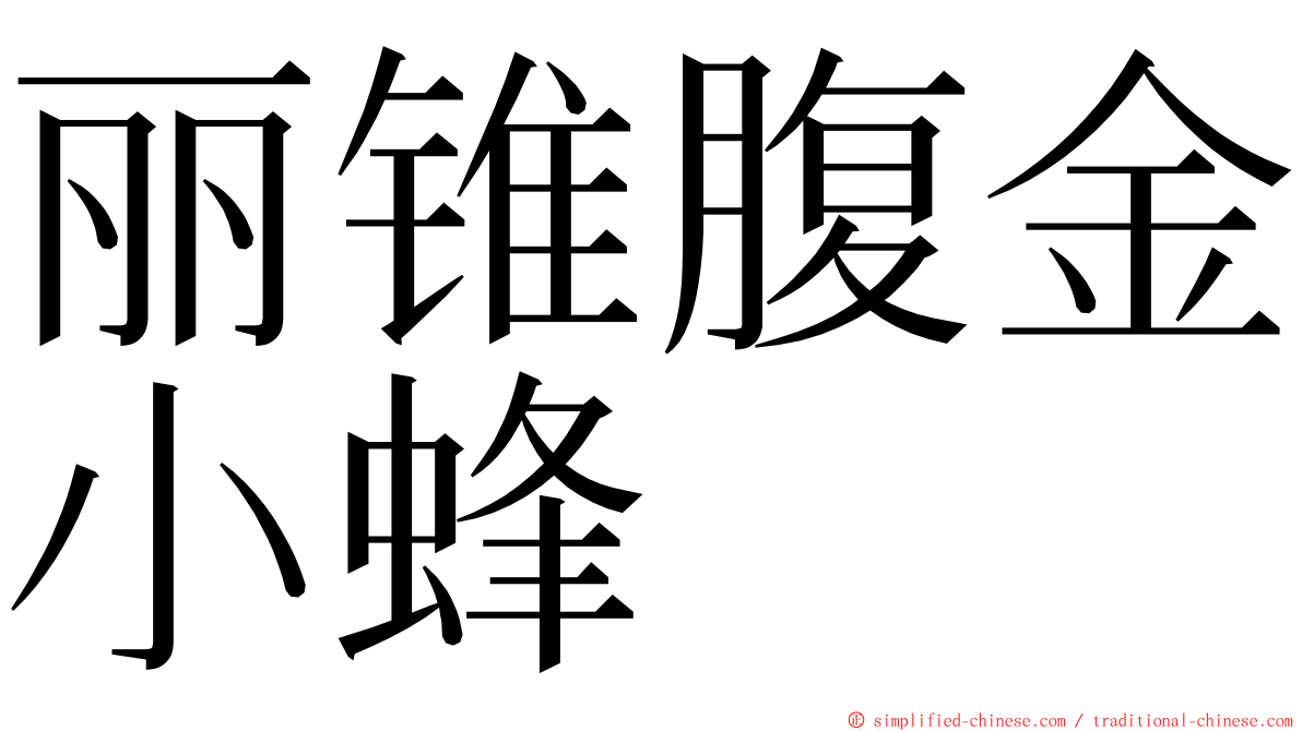 丽锥腹金小蜂 ming font