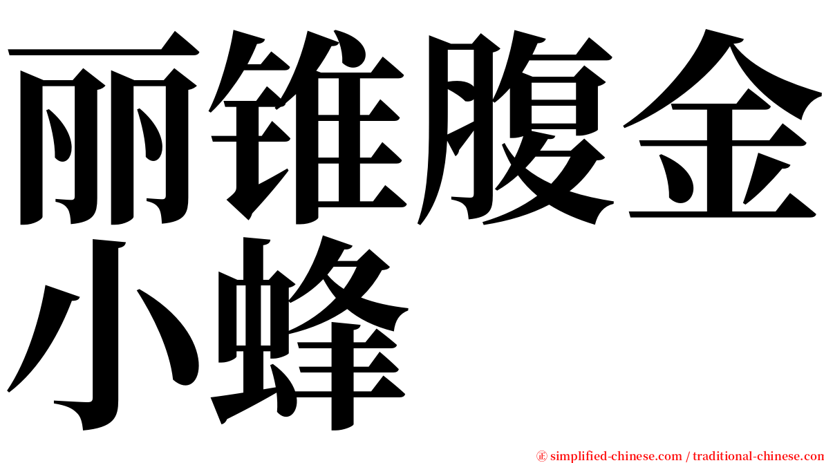 丽锥腹金小蜂 serif font