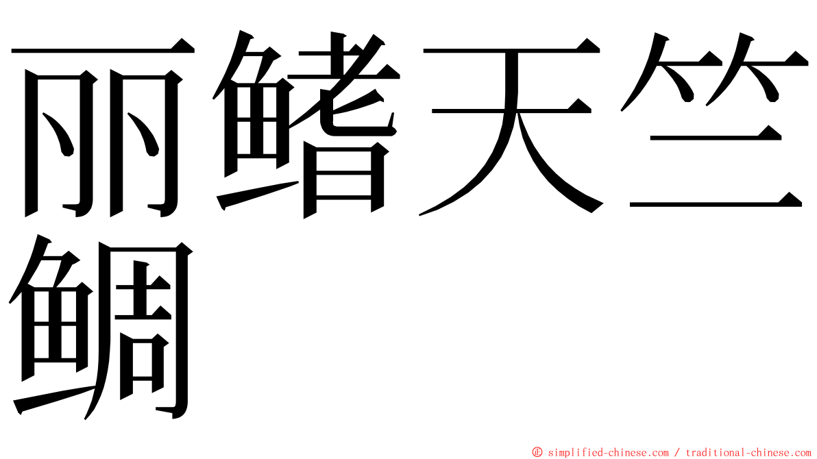 丽鳍天竺鲷 ming font