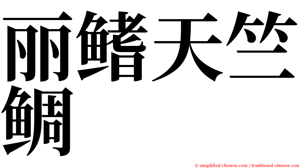 丽鳍天竺鲷 serif font