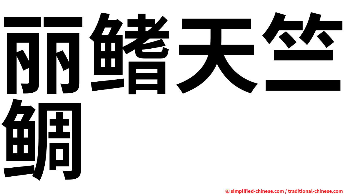 丽鳍天竺鲷
