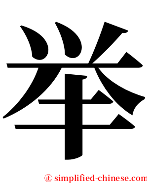 举 serif font