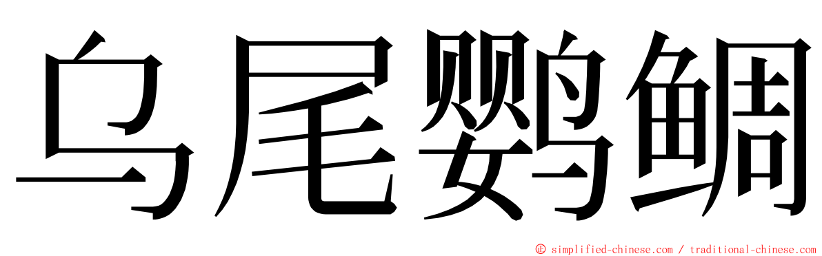 乌尾鹦鲷 ming font