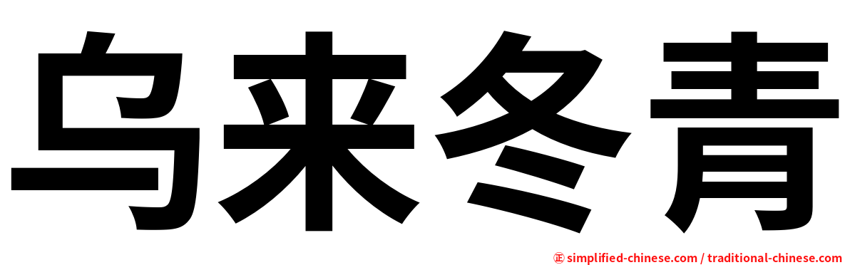 乌来冬青