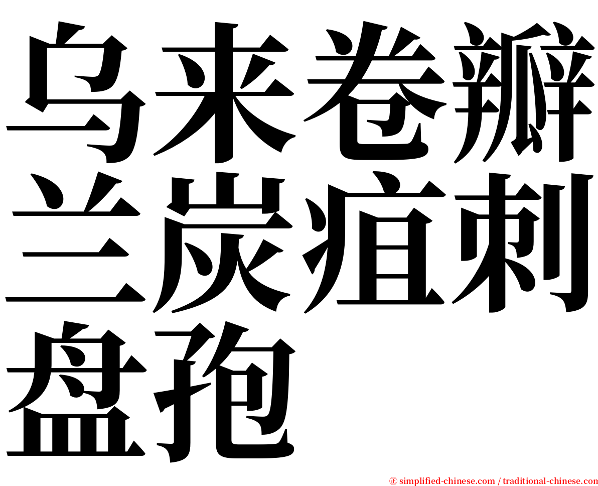乌来卷瓣兰炭疽刺盘孢 serif font