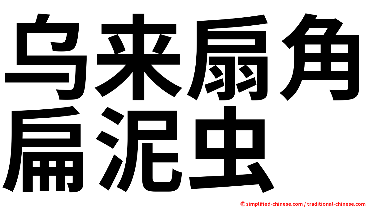 乌来扇角扁泥虫