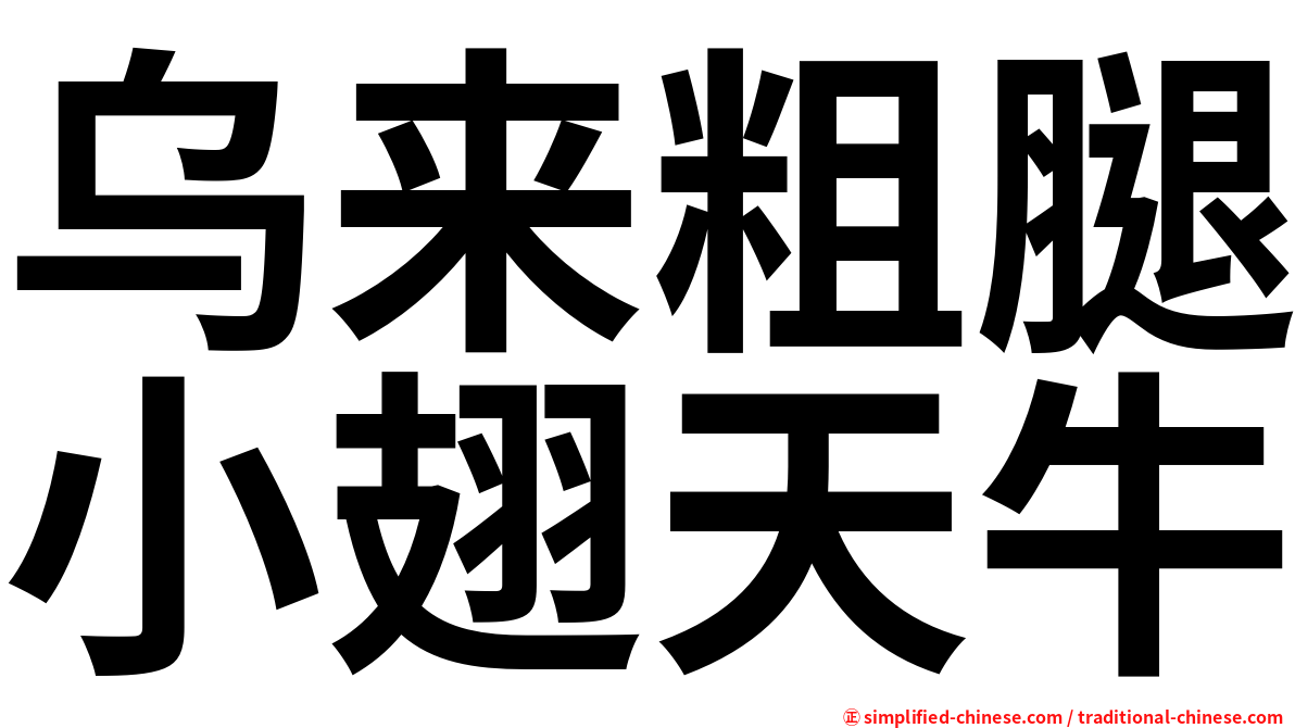乌来粗腿小翅天牛