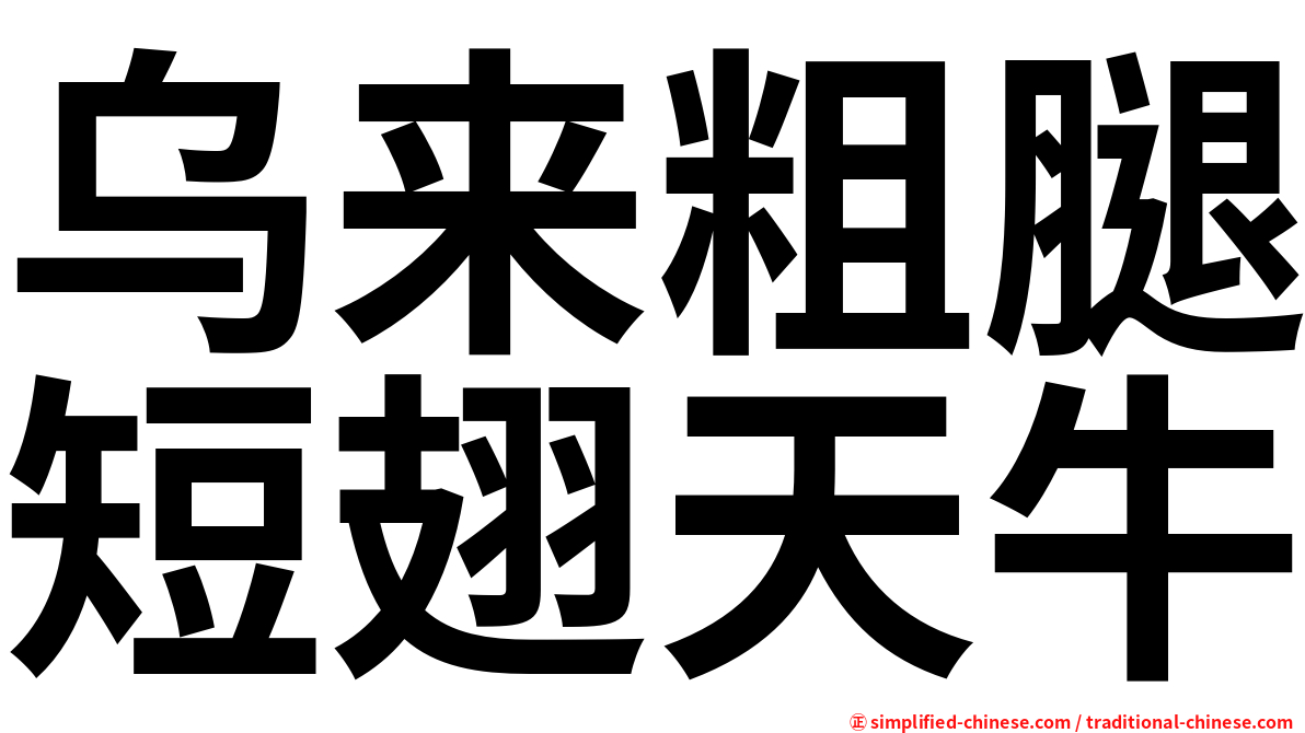 乌来粗腿短翅天牛