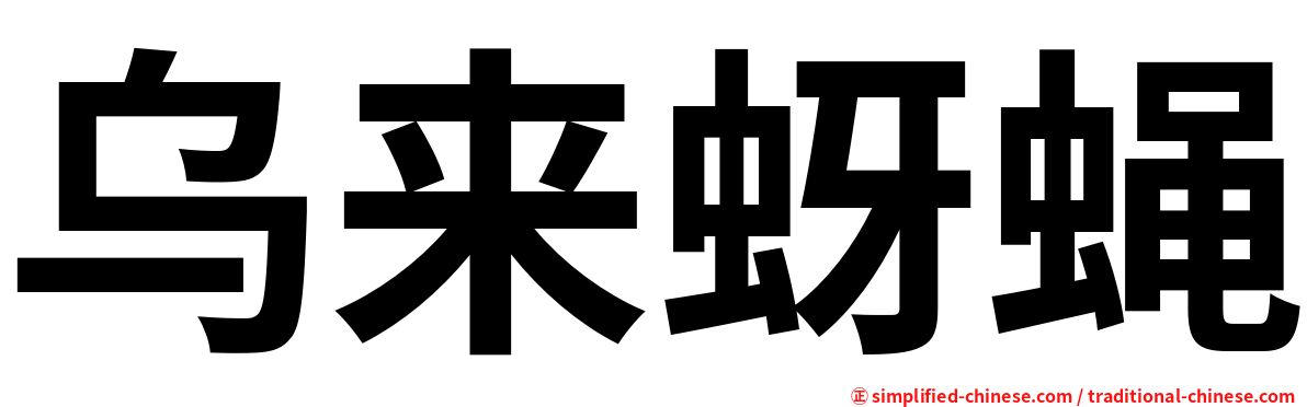 乌来蚜蝇
