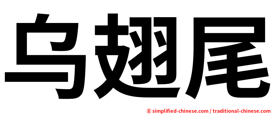 乌翅尾